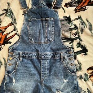 Denim Overalls